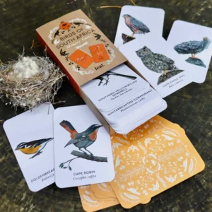 Birds of South Africa Memory Game