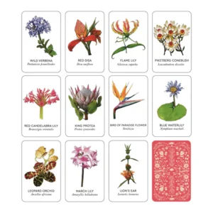 Flowers of South Africa Memory Game (Memory Cards) | Local is Lekker ZA | African Gifts