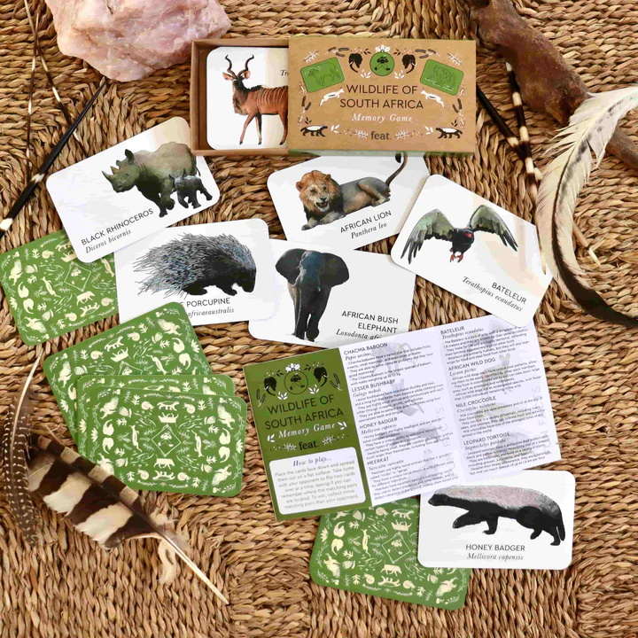 Wildlife of South Africa Memory Game  (Memory Cards)