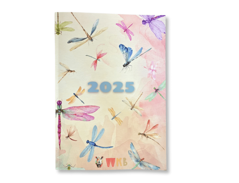 2025 Diary for Girls - Dragonfly Themed - English