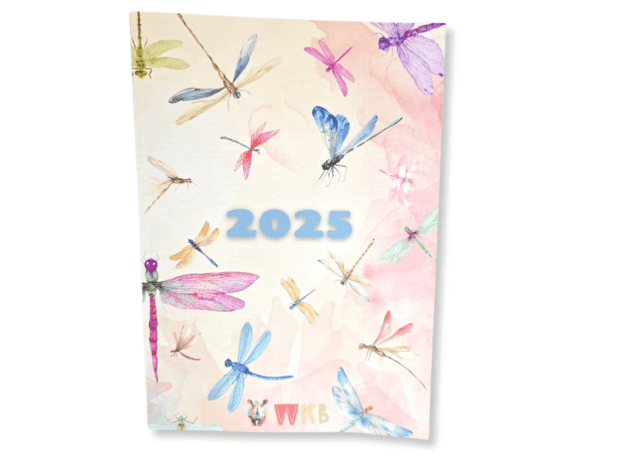 2025 Diary for Girls - Dragonfly Themed - English - Image 2