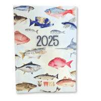 2025 Kids Diary for Boys