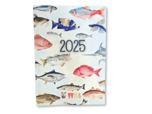 2025 Kids Diary for Boys