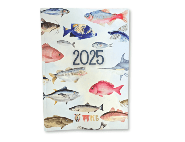 2025 Kids Diary for Boys