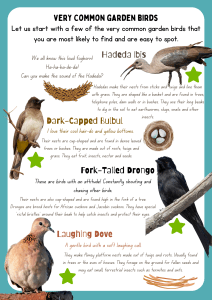 Garden Birding for KwaZulu-Natal Kids (PDF download) | Local is Lekker ZA | African Gifts