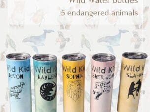 600ml animal water bottle