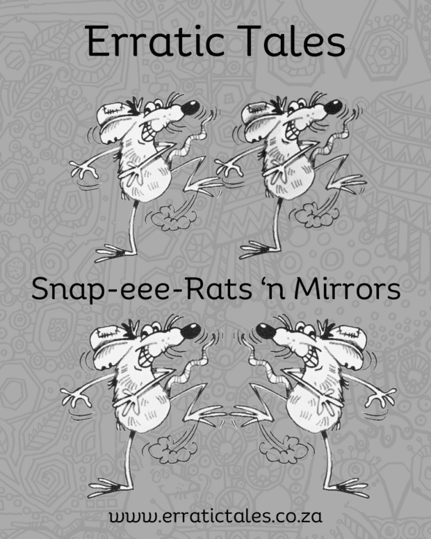 Snap 'n Mirror Cards - RHINO PACK (Snap Card Game) - Image 2