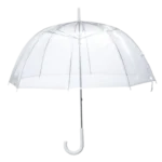 Clear Dome Umbrella