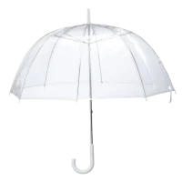 Clear Dome Umbrella