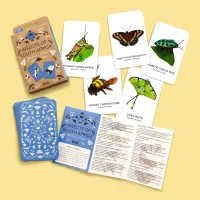 Insects of South Africa Memory Game