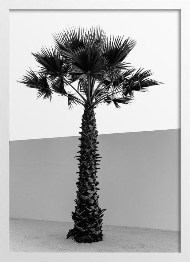 Palm Tree in Abstract Architecture Poster