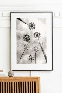 Watercolor Painting Black and White Palm Trees (2-Options) | Local is Lekker ZA | African Gifts