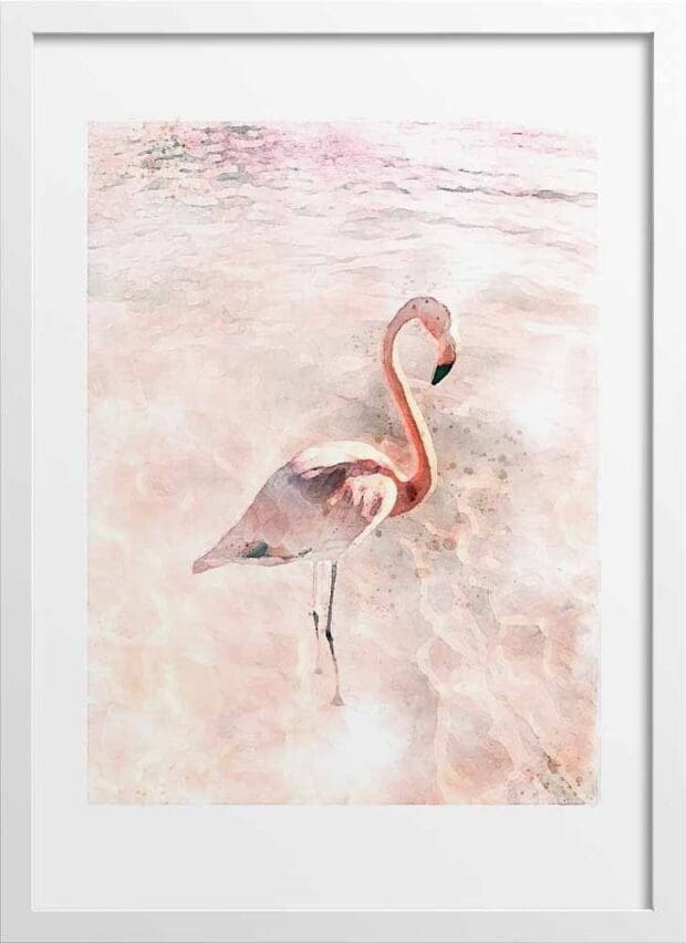 Pink Flamingo Poster