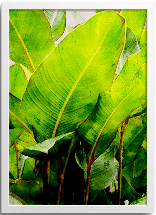 Tropical Banana Leaf Poster