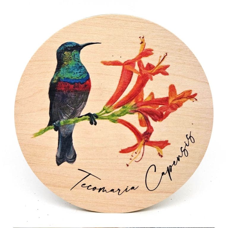 Beautiful Painted Wood Coasters - South African