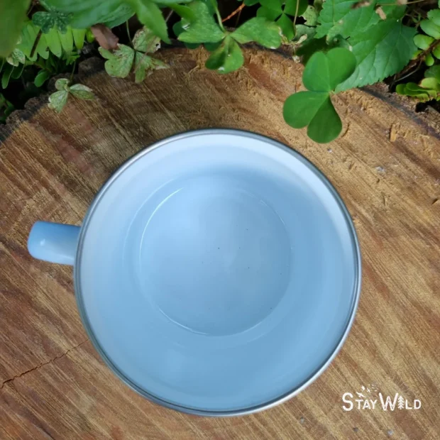 Stay Wild Enamel Mug