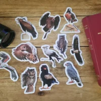 Birds of Prey Sticker Set