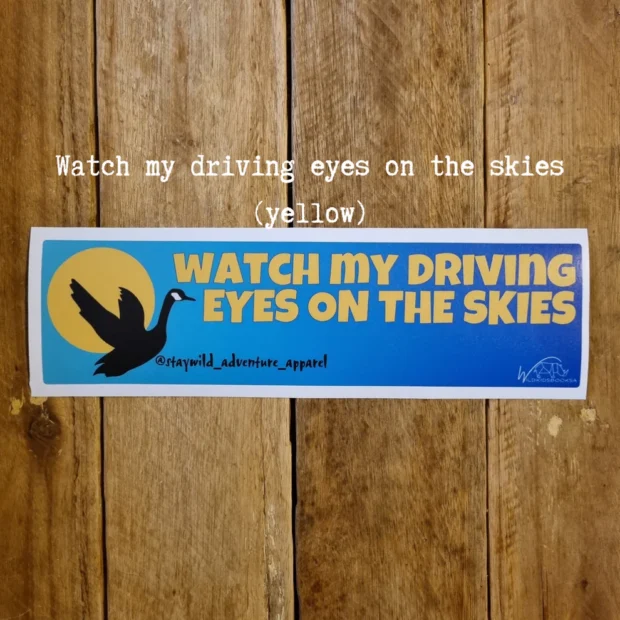 Winged Watcher Car Bumper Stickers