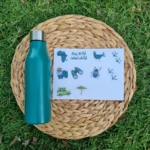 Safari Child Bottle PLUS Sticker set