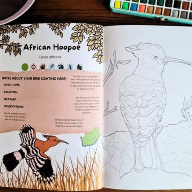 Birdwatchers Coloring Field Guide (Vol.2 Colouring Bird Guide)- Endorsed by BirdLife South Africa! - Image 3