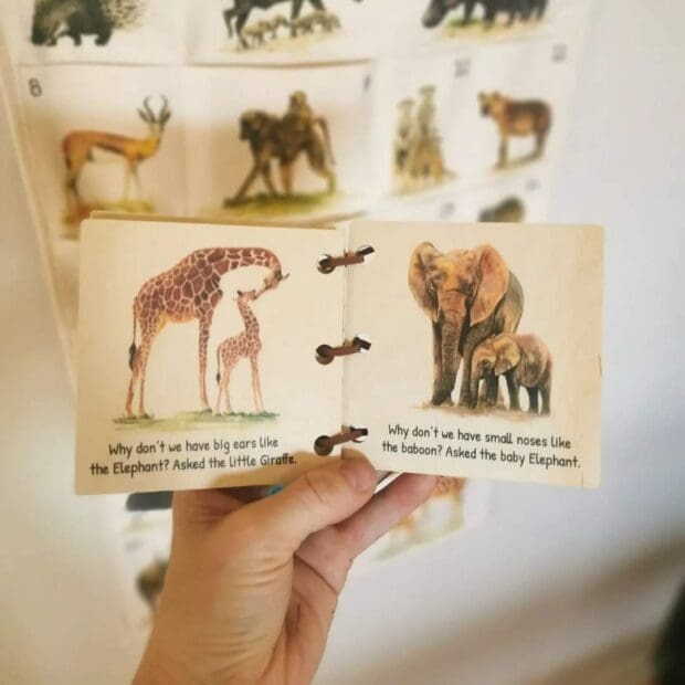 Wooden Baby Book - Safari Friends - Envirokid