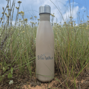 stainless steel water bottle