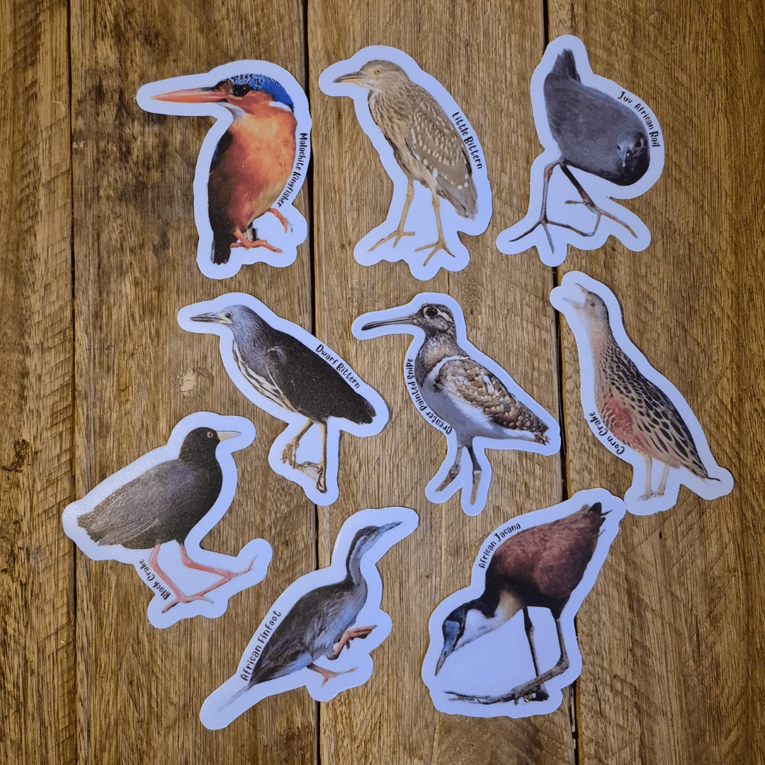 Water Birds Sticker Set
