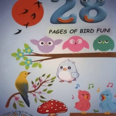 A to Z of Birds Childrens Colouring In Book | Educational Fun for Kidsok Series – Africa Edition