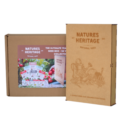 54 Variety Seed Collection Box