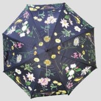 Umbrella: Midnight Design