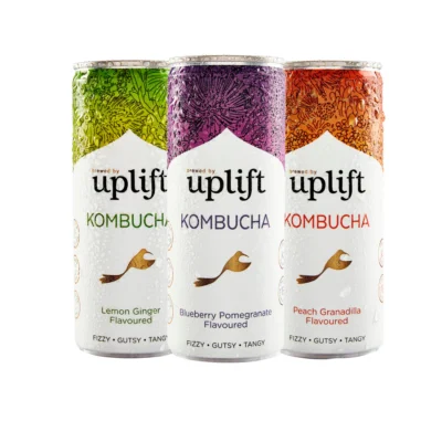 Uplift Kombucha Variety Pack